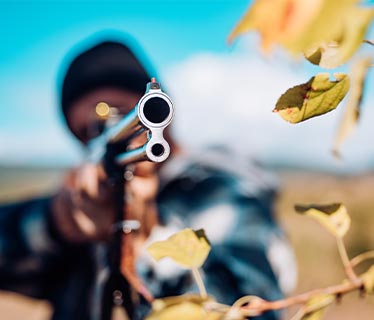 Firearms and Weapons